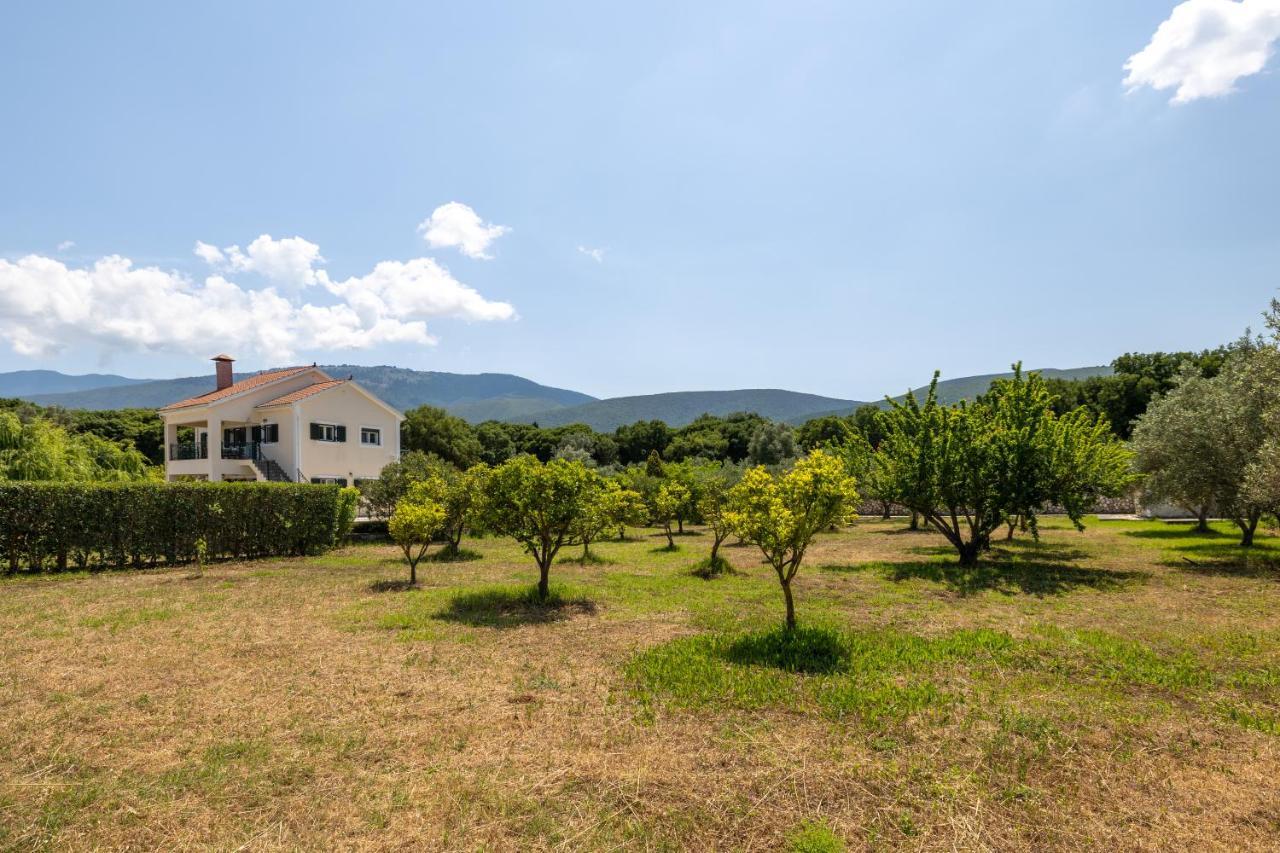 Arte Villa Nefeli Apartment Sami  Exteriér fotografie